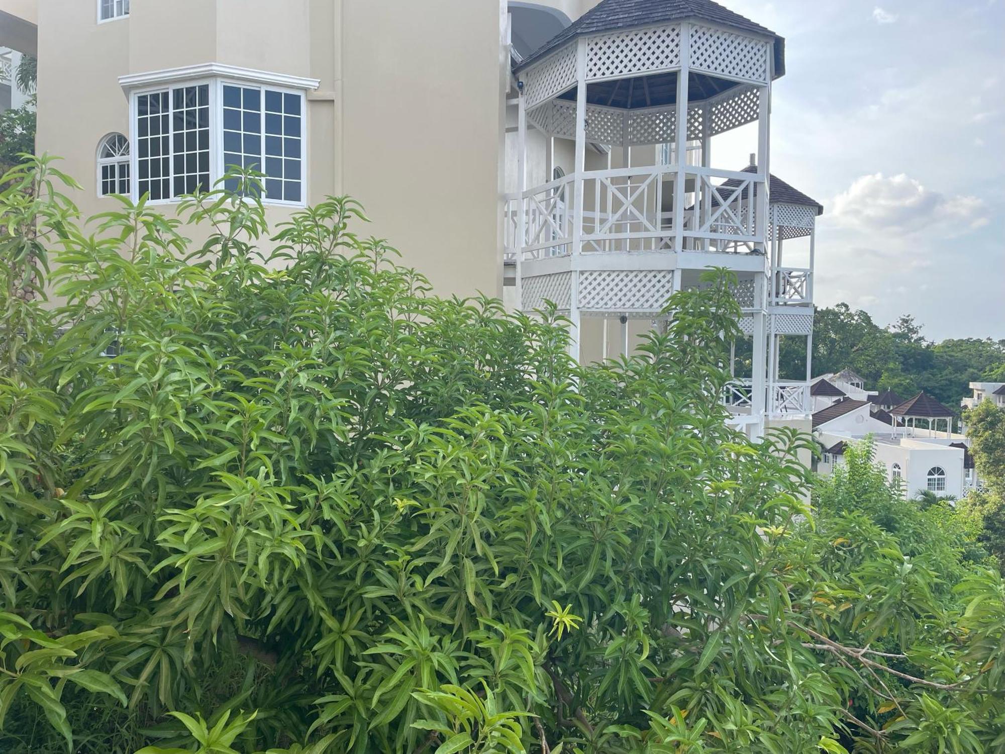 Oceanbreeze Jamaica Penthouse, 7-Minute Walk To Beach Ocho Rios Exteriör bild