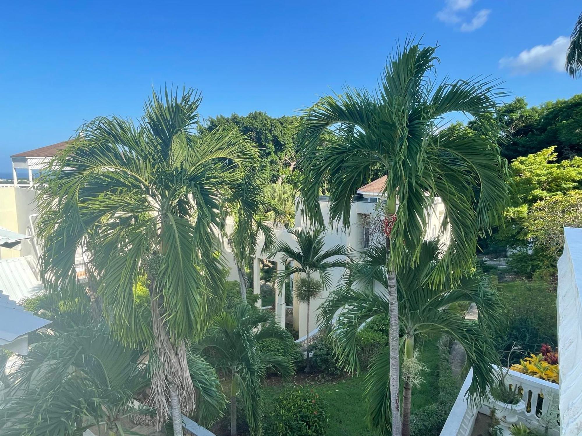 Oceanbreeze Jamaica Penthouse, 7-Minute Walk To Beach Ocho Rios Exteriör bild