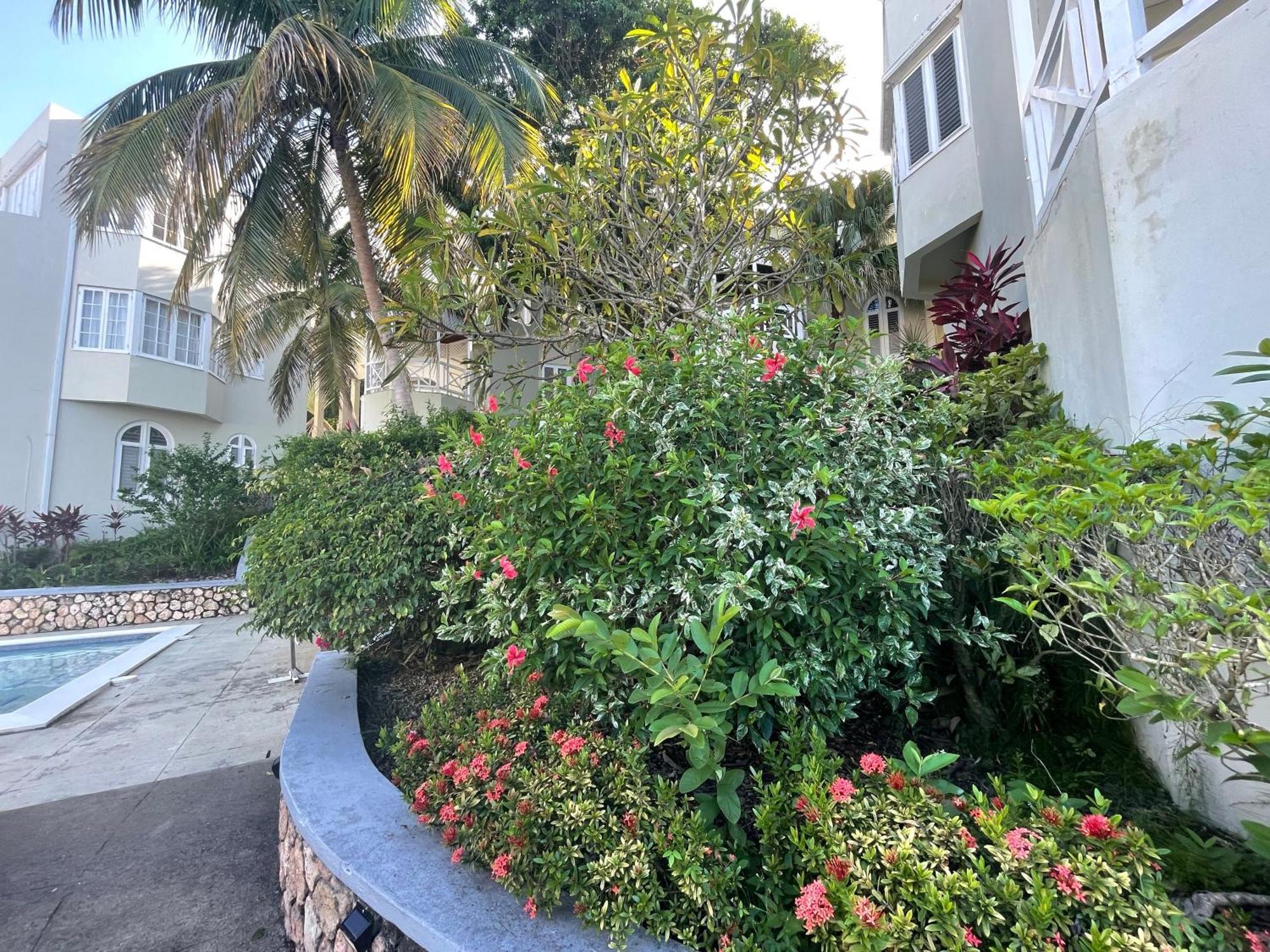 Oceanbreeze Jamaica Penthouse, 7-Minute Walk To Beach Ocho Rios Exteriör bild